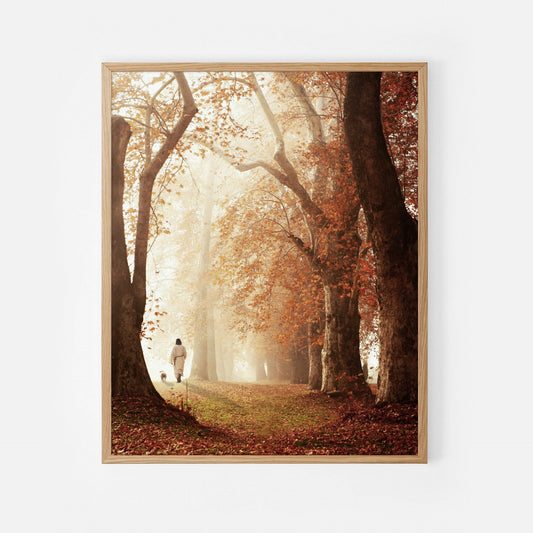Times And Seasons